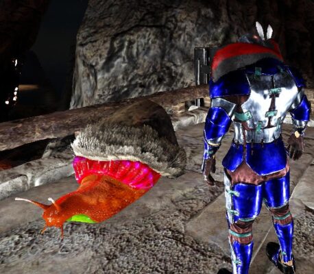 アフリカマイマイに毛皮帽子