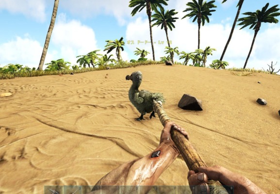 槍でドードーを狙う