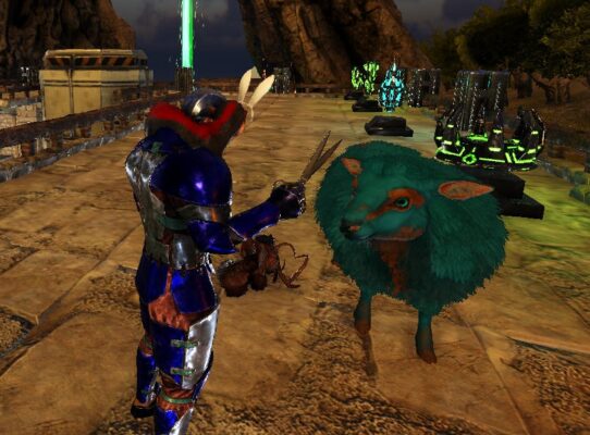 ヒツジの刈る前