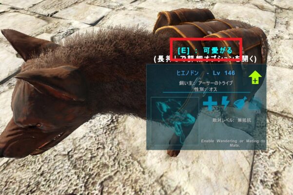 ヒエノドンを可愛がる