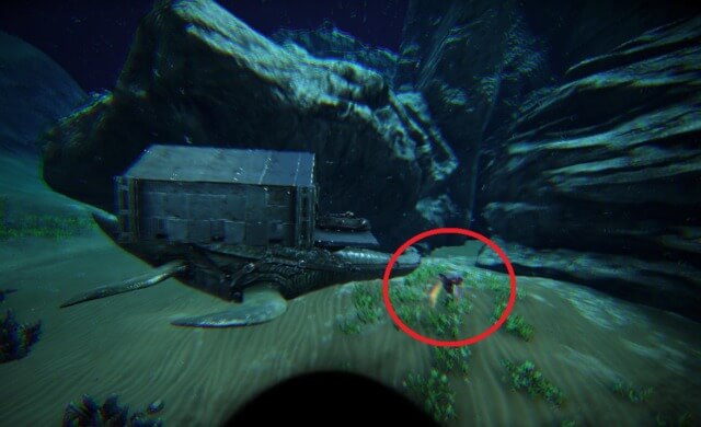 89.7/90.6のポイント