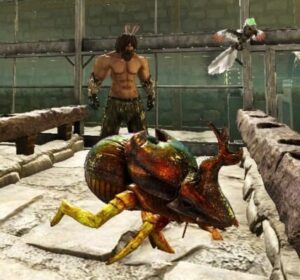 フンコロガシのテイム方法！生息場所や特徴は？