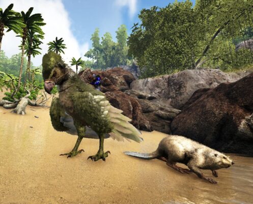 カストロイデス