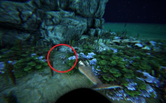 10.0/9.4のポイント