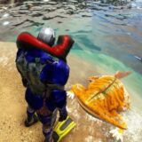 ディプロカウルス