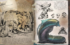 もしもヒルに取り付かれたら？取る方法と対策法について！