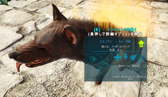 ヒエノドンを可愛がった後