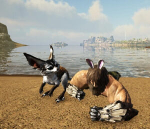 トビネズミの生息場所とテイム方法！天気予報が得意なペット！？