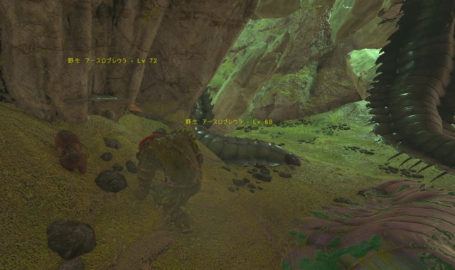 アースロプレウラに近づく