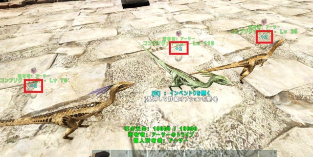 集団ボーナス発生