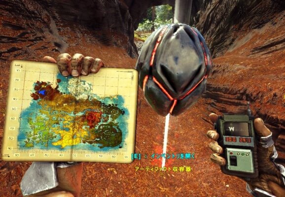 木の中の免疫のアーティファクト