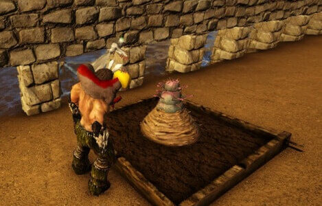 プラントYの種がある場所は？栽培した姿と効果を紹介！