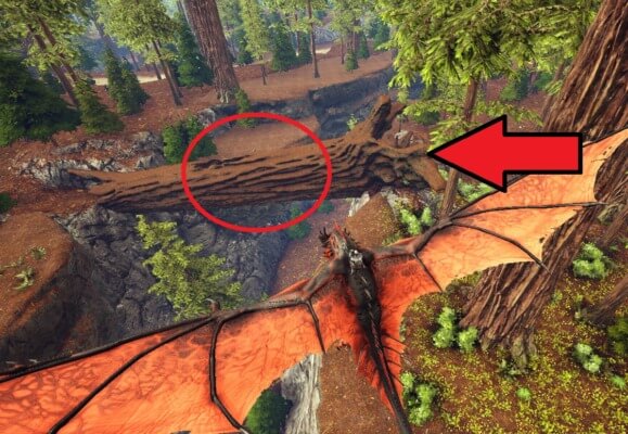 レッドウッドの森