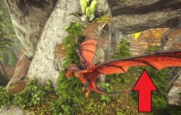 蜂蜜洞窟の入口