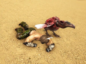 ハゲワシの生息場所とテイム方法！戦闘態勢でいきなり狂暴化！？