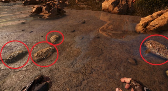 スコーチドアースの水晶