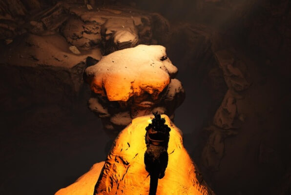 アスレチック要素