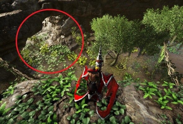 暗闇洞窟の入口の場所