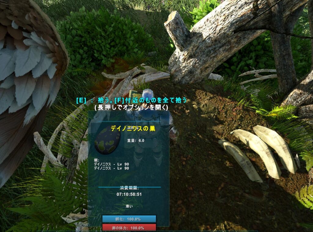 デイノニクスの卵