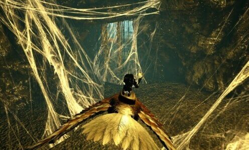 バルゲロのレッドウッド洞窟攻略！群集、強者、免疫のアーティファクトの場所は？