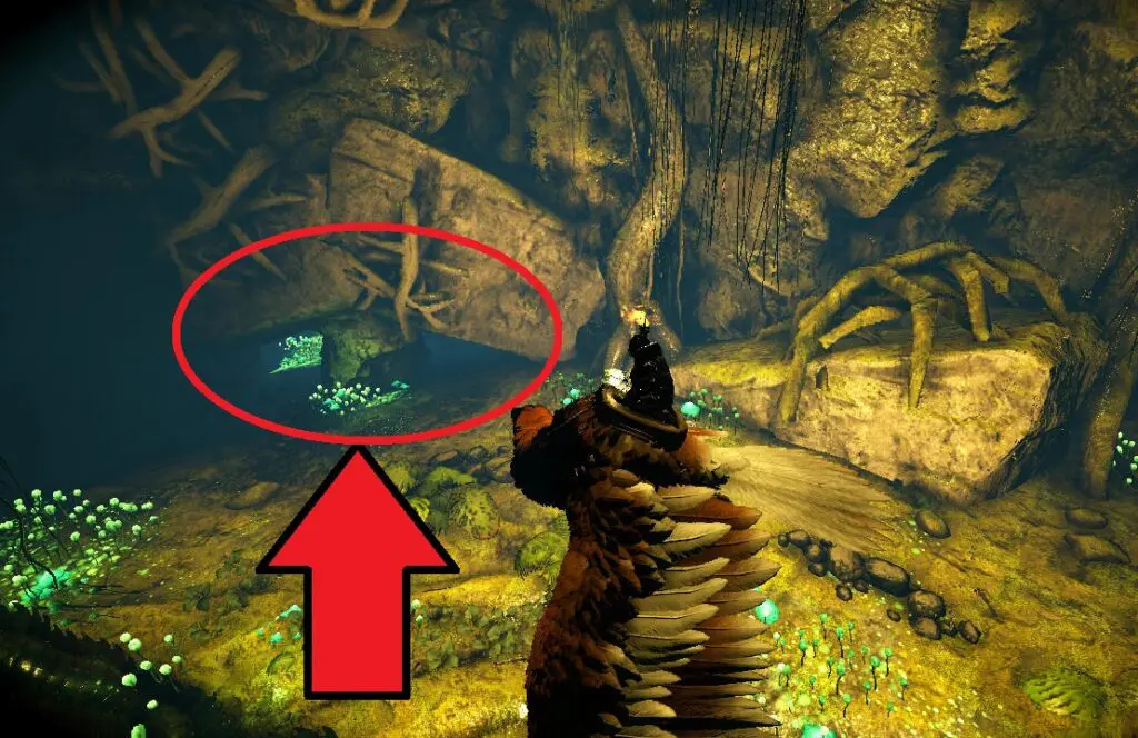 バルゲロのレッドウッド洞窟攻略 群集 強者 免疫のアーティファクトの場所は