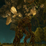 フォレストタイタン