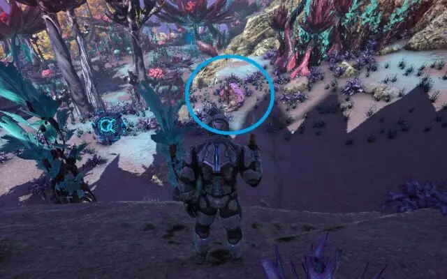 シャドウメインの生息場所とテイム方法 敵対しないで手渡し出来る方法と追跡の仕方は