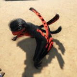 シノマクロプス