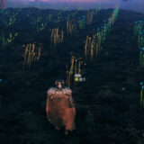 亜麻と大麦の畑