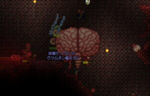 ボス【クトゥルフの脳(Brain of Cthulhu)】攻略方法！戦闘に挑むまでの手順は？