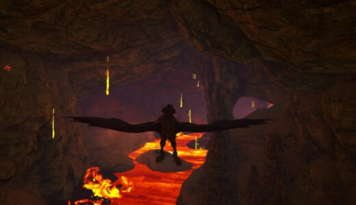 フィヨルドの賢者と群集の洞窟攻略方法！奥に進む為に必要なアイテムやペットの種類は？