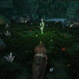 センターの狩人の洞窟