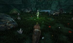 センターの狩人の洞窟