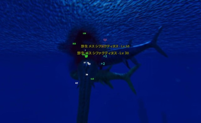 群れボーナス発生中