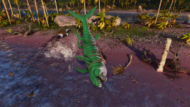 陸上で跳ねるシファクティヌス