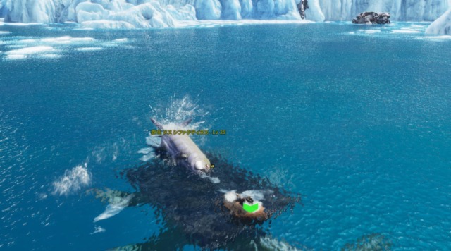 シファクティヌスをプラットフォームサドル上に誘導