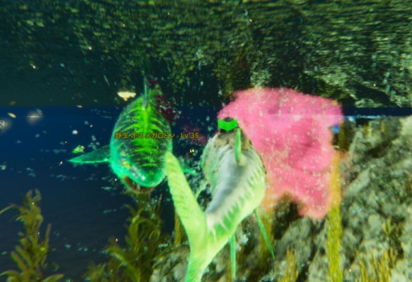 突進攻撃で出血させた