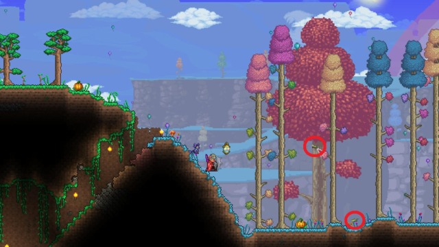 カメムシの見た目